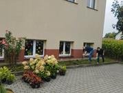 Grupa wolontariuszy z Działu Badań i Rozwoju w Fabrykach Karmy dla Zwierząt MARS Polska